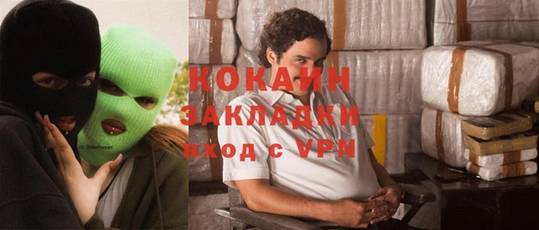 шишки Аркадак