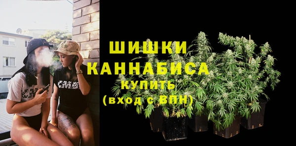 Альфа ПВП Дмитровск