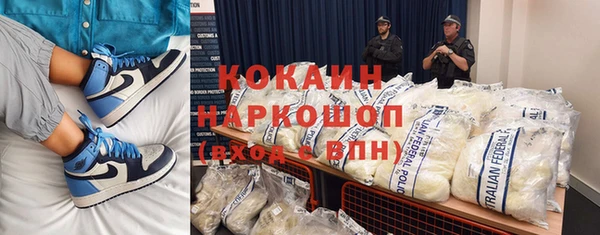 шишки Аркадак