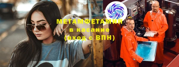 шишки Аркадак