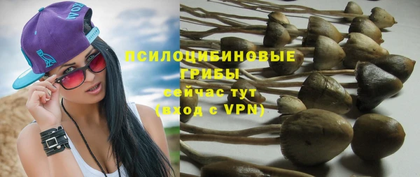 ALPHA PVP Алзамай