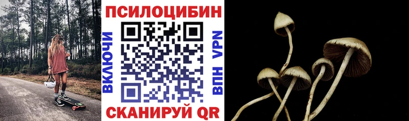 Галлюциногенные грибы ЛСД  Крым 